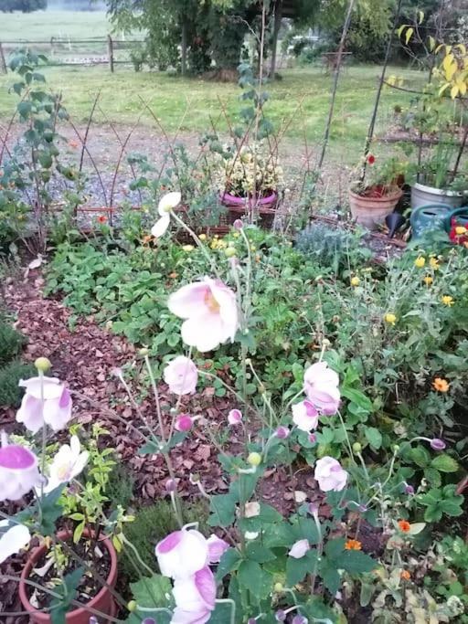Les Hortensias La Souris Des Champs Etival-Clairefontaine Ngoại thất bức ảnh
