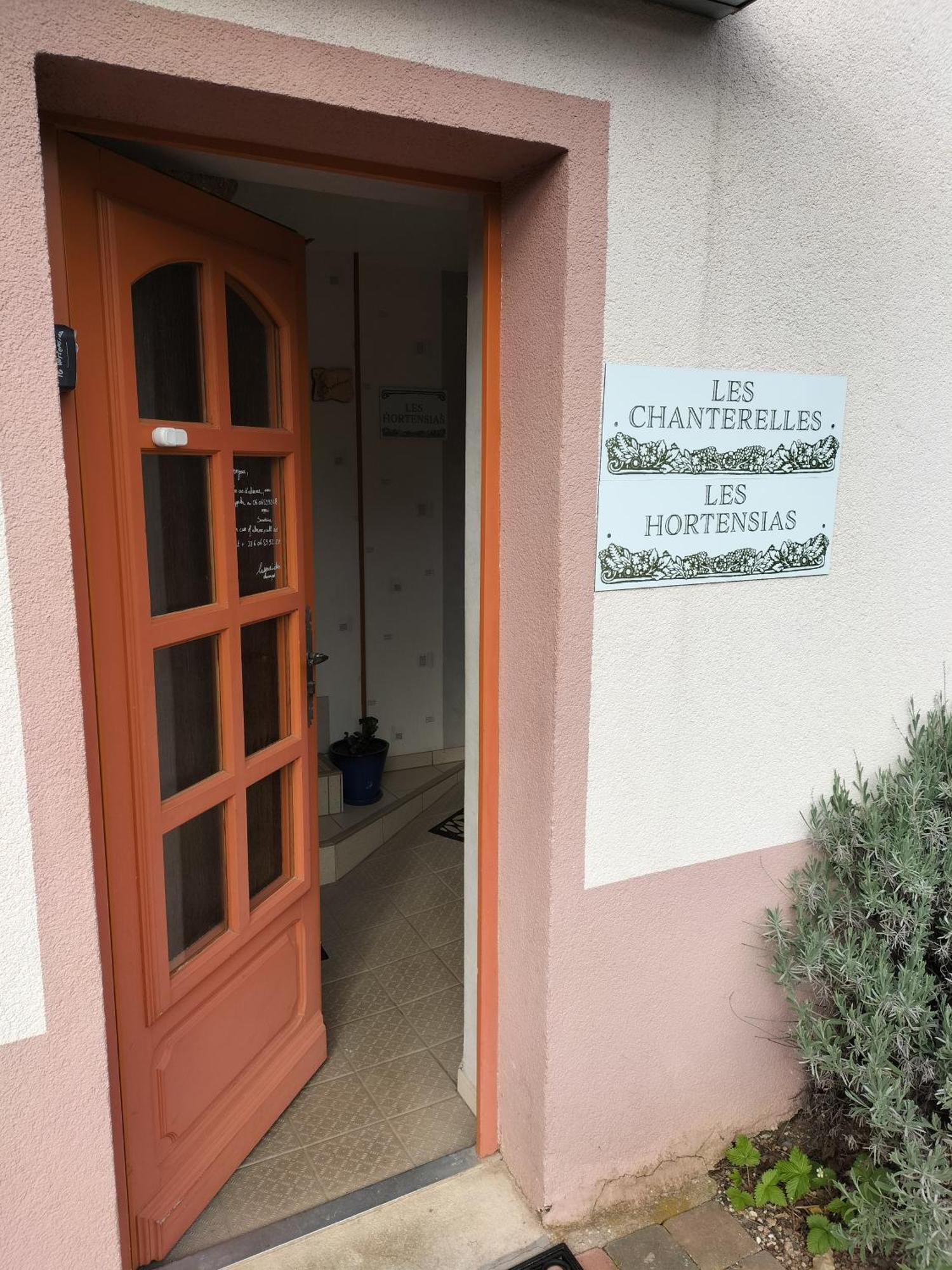 Les Hortensias La Souris Des Champs Etival-Clairefontaine Ngoại thất bức ảnh